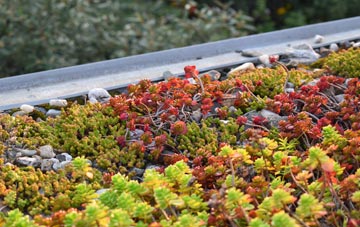the cost of Moycroft green roof installation