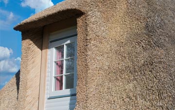 Moycroft thatch roof disadvantages